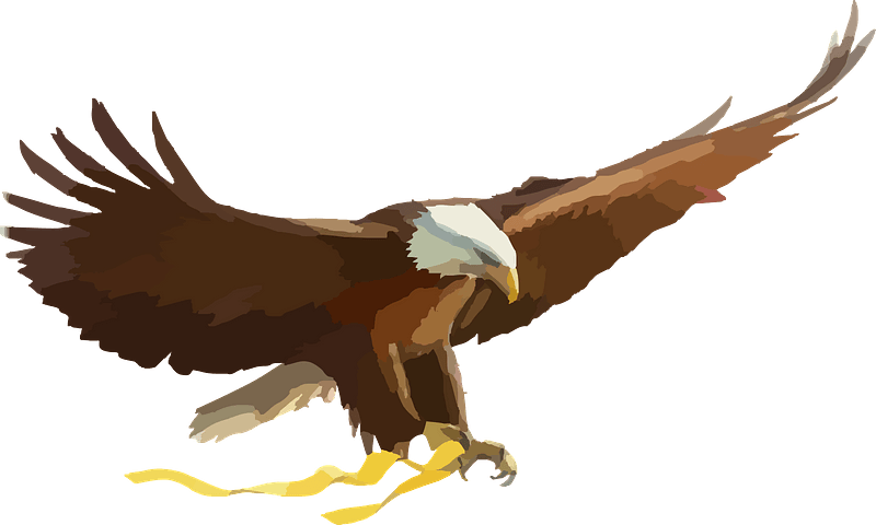 Bald eagle holding yellow ribbon
