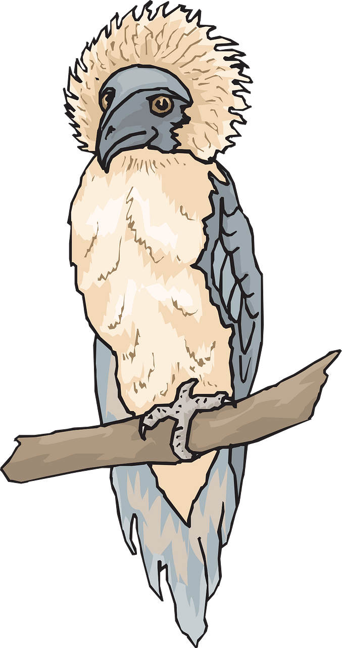 Philippine eagle on branch