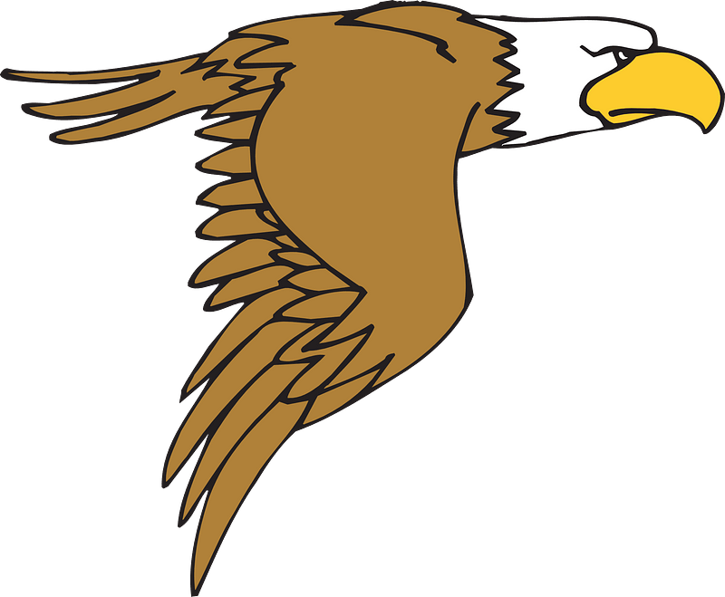 Flying cartoon eagle