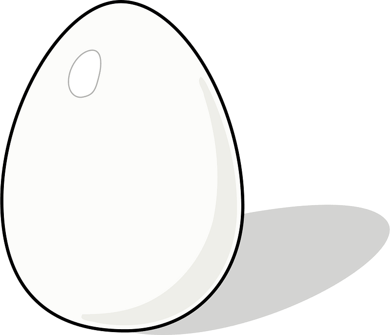 Egg