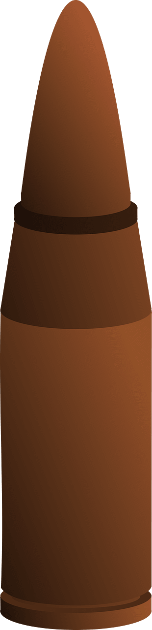 Bullet