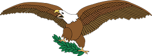 Bald eagle on branch