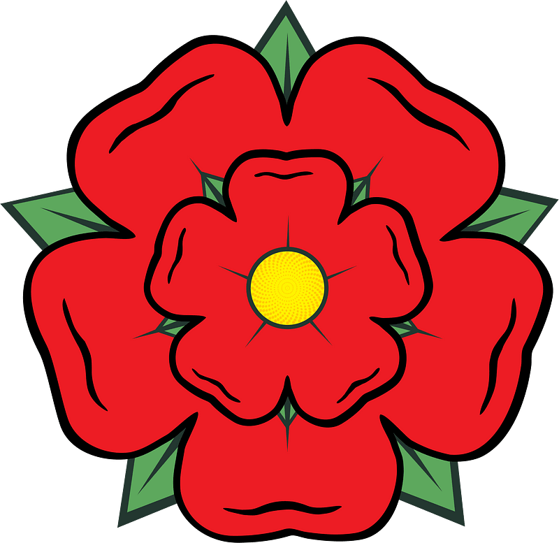 Lancashire rose