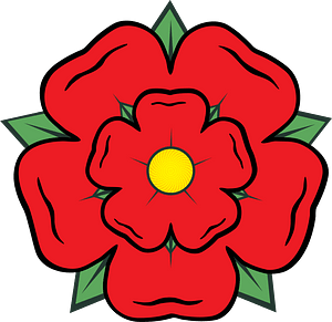 Lancashire rose