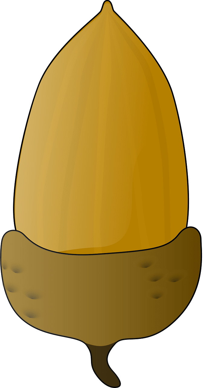 Akorn