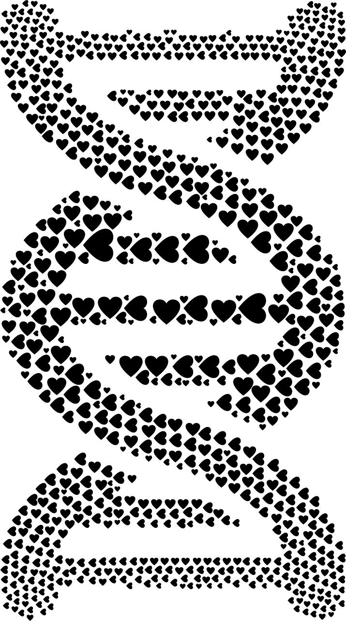 Dna