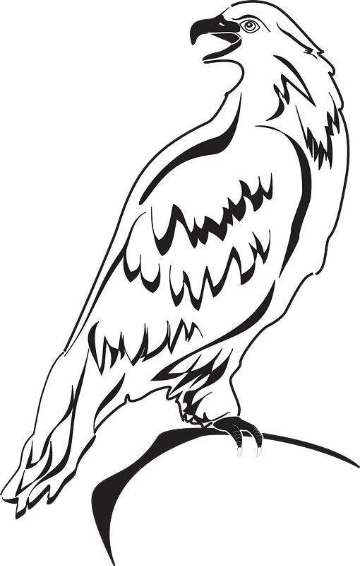 Eagle on branch