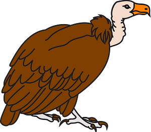 Vulture