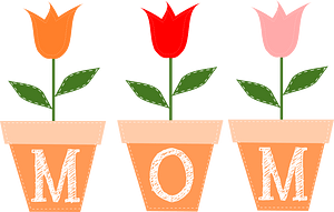 Tulips