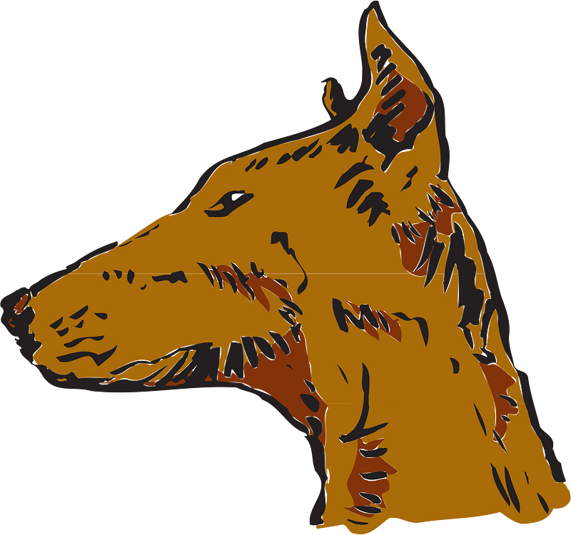 Head