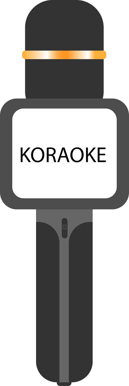 Karaoke microphone