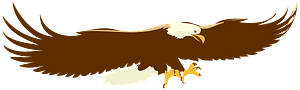 Eagle in flight