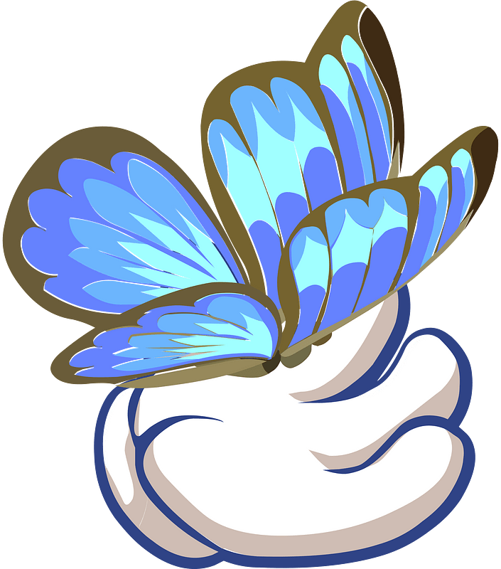 Butterfly on hand