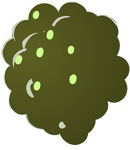 Dark green clump