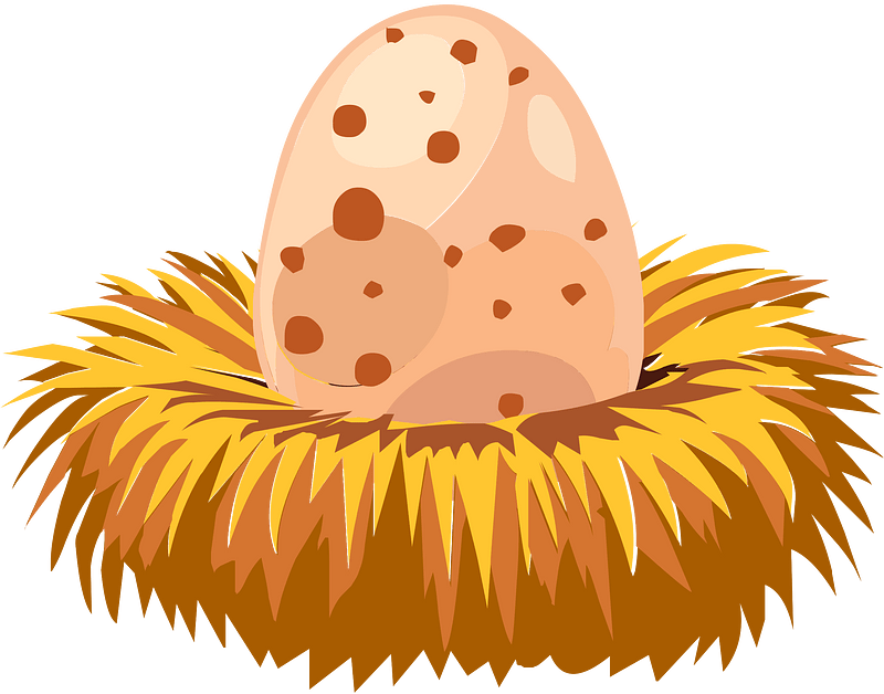 Orange egg nest