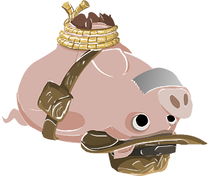 Hogtied piggy
