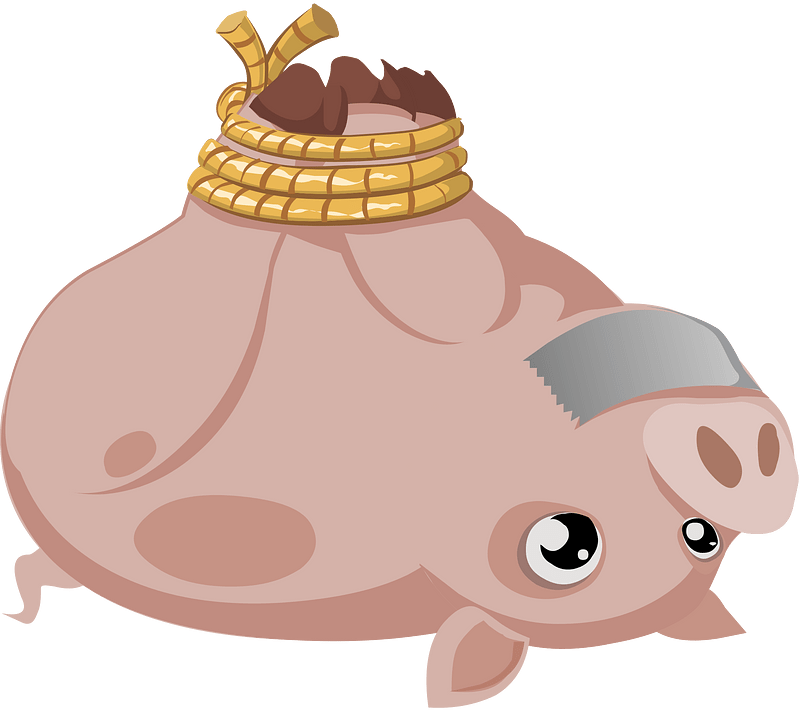 Hogtied piggy