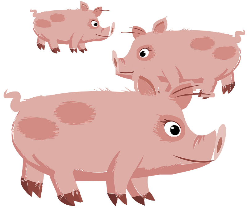 Three pink pigs