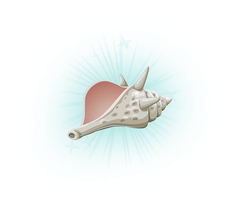 Shining conch