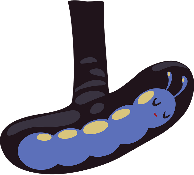 Blue ground caterpillar
