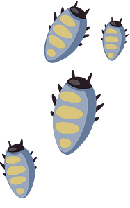 Four grey bugs