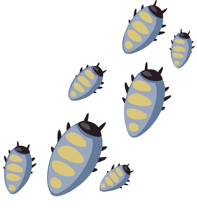 Six grey bugs