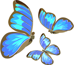 Three blue butterflies