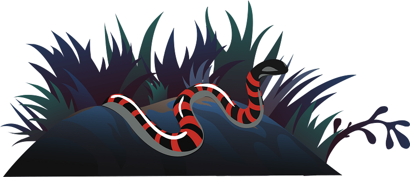 Black red snake dark grass