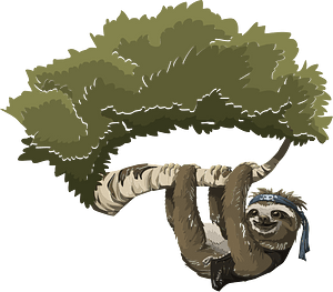 Sloth on the tree