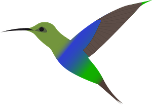 蜂鳥