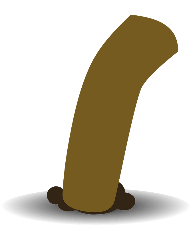 Brown bent pipe