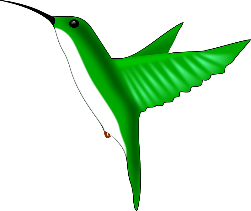 Green hummingbird