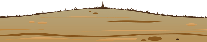 Wooden plank surface