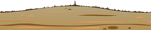 Wooden plank surface