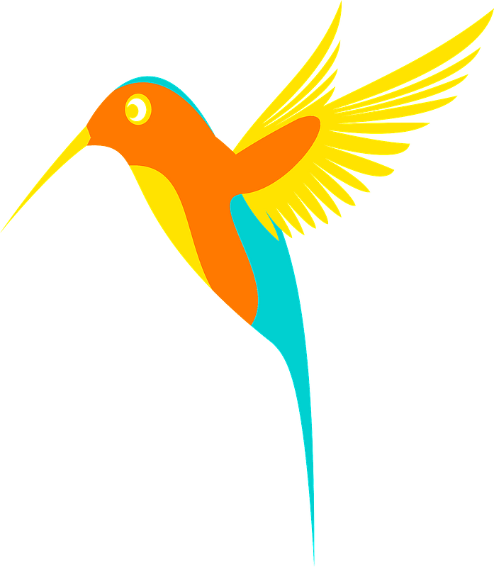 Colorful hummingbird