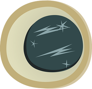 Round window front