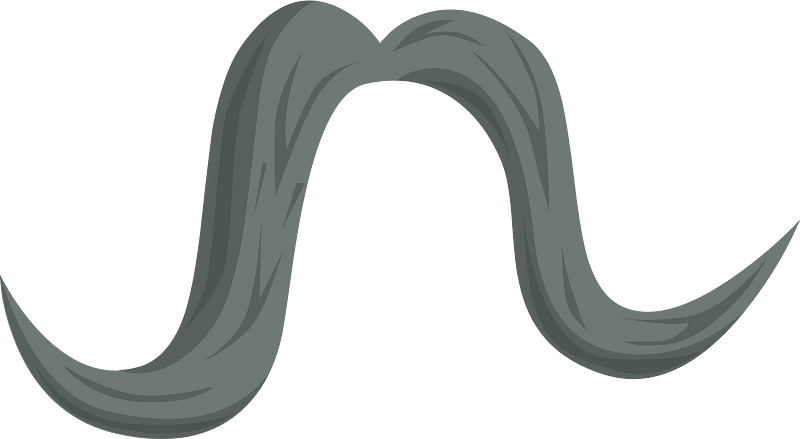Grey mustache