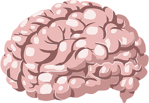 Pink brain