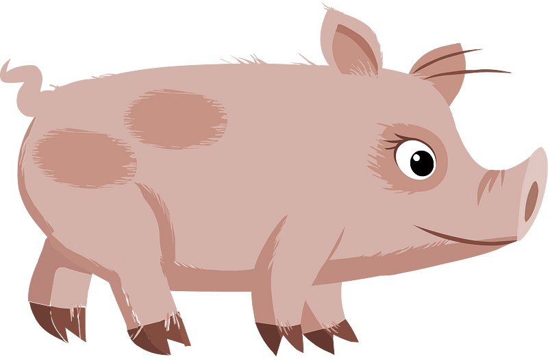 Fantasy npc piggy
