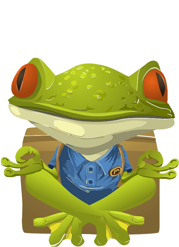 Fantasy npc yoga frog