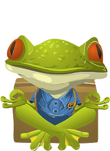Fantasy npc yoga frog