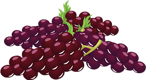 Bunch of grapes