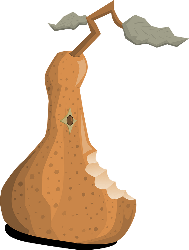 Orange fantasy pear