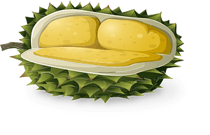 Yellow durian