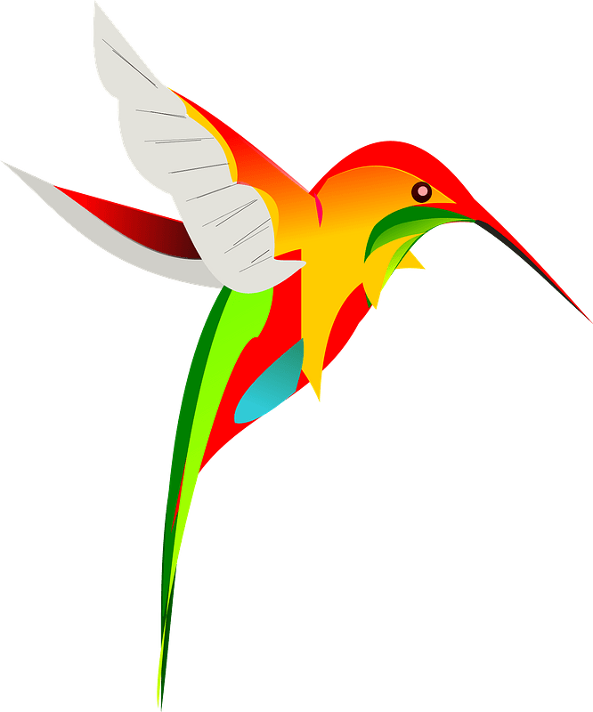 Colorful hummingbird
