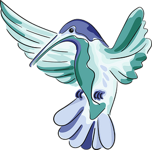 Drawn hummingbird