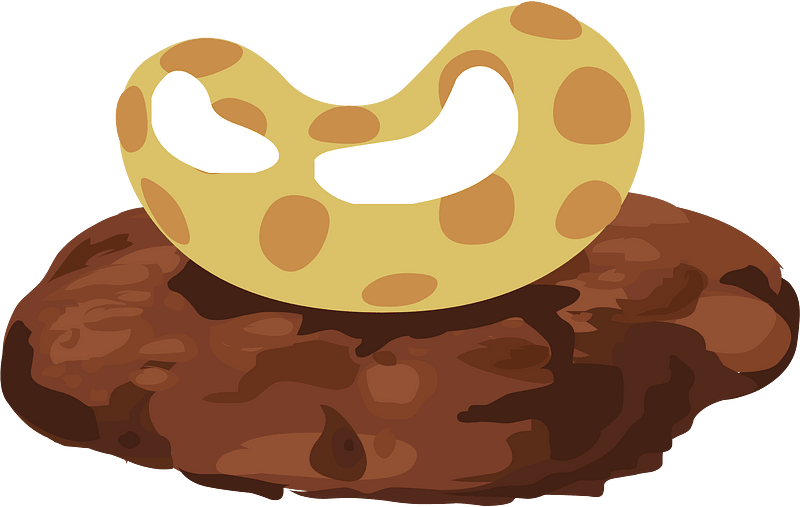 Dotted orange fantasy bean
