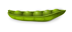 Green pea pod