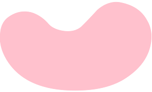 Pink bean