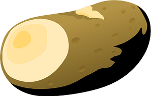 Potato